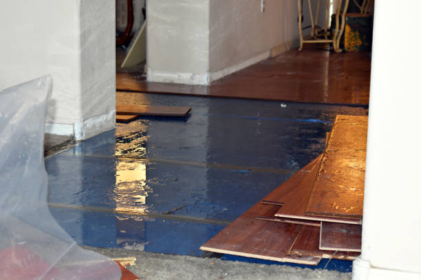 Professional Burst Pipe Cleanup technician working in Pottsville, AR
