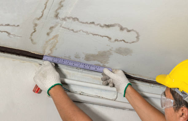 Reliable Burst Pipe Cleanup contractor in Pottsville, AR by Water Damage Irwin